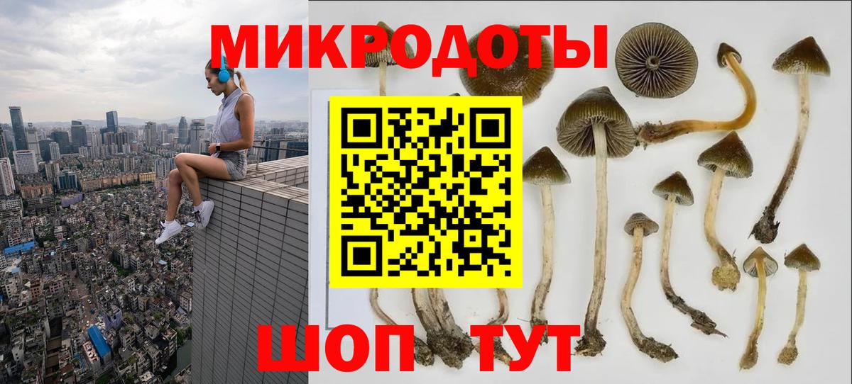 Галлюциногенные грибы прущие грибы Добрянка