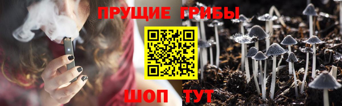 Добрянка  Псилоцибиновые грибы прущие грибы  Вход с VPN 