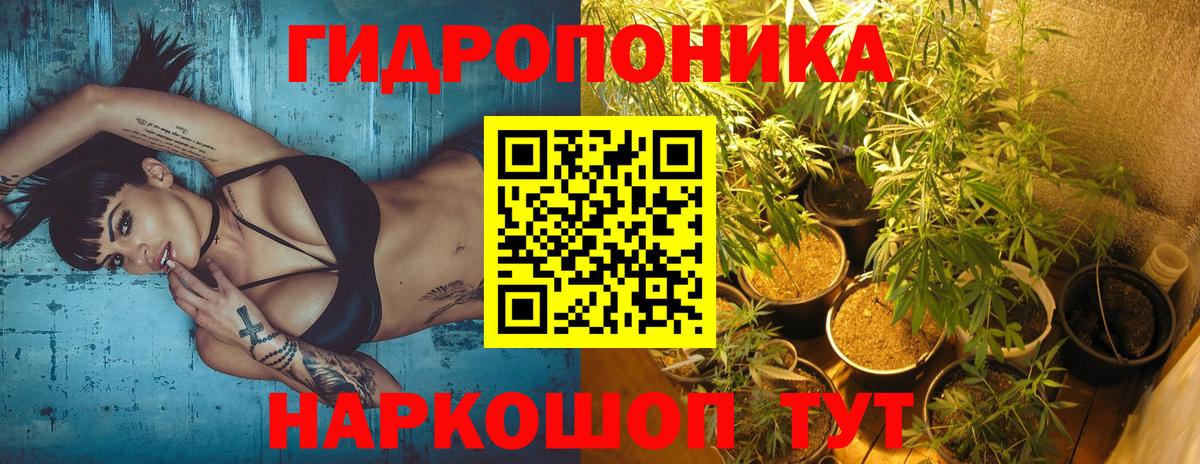 Конопля VHQ  Вход с VPN  Канабис марихуана  Добрянка  Марихуана White Widow 